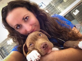 HSSV Post-Op Snuggles (1 of 1)