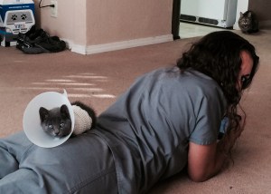 Braveheart spends the weekend recovering at home with Dr. Ostermann.