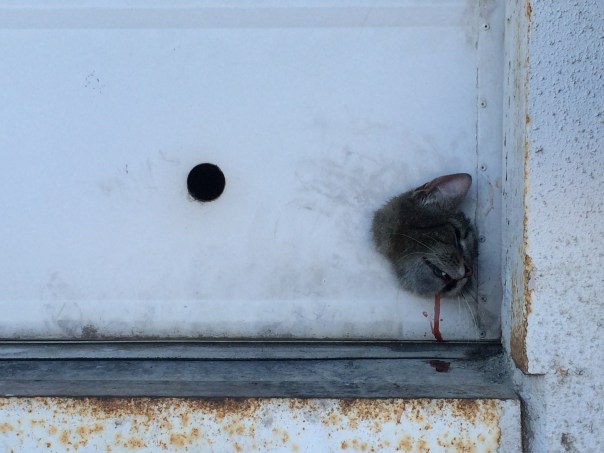 On the outside of the metal shop.