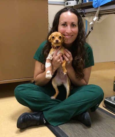 This was the last photo Dr. Ostermann got of Pixie, the week before she got adopted!